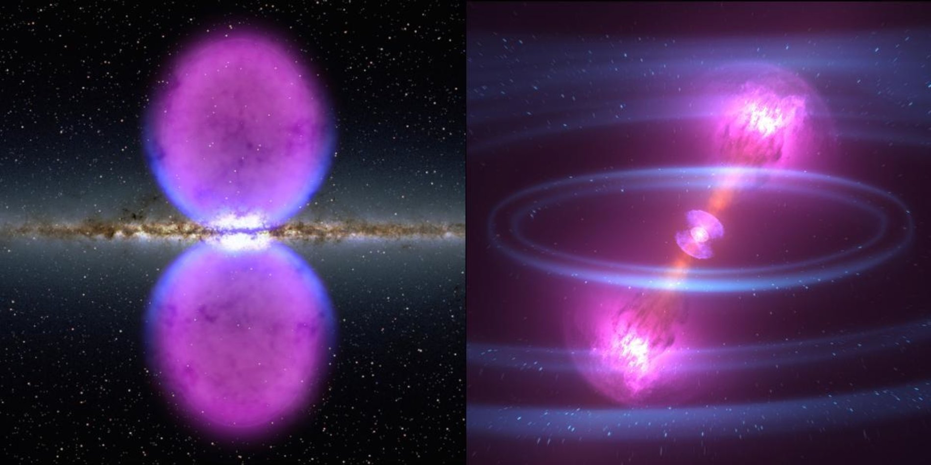 Fermi Large Area Telescope
