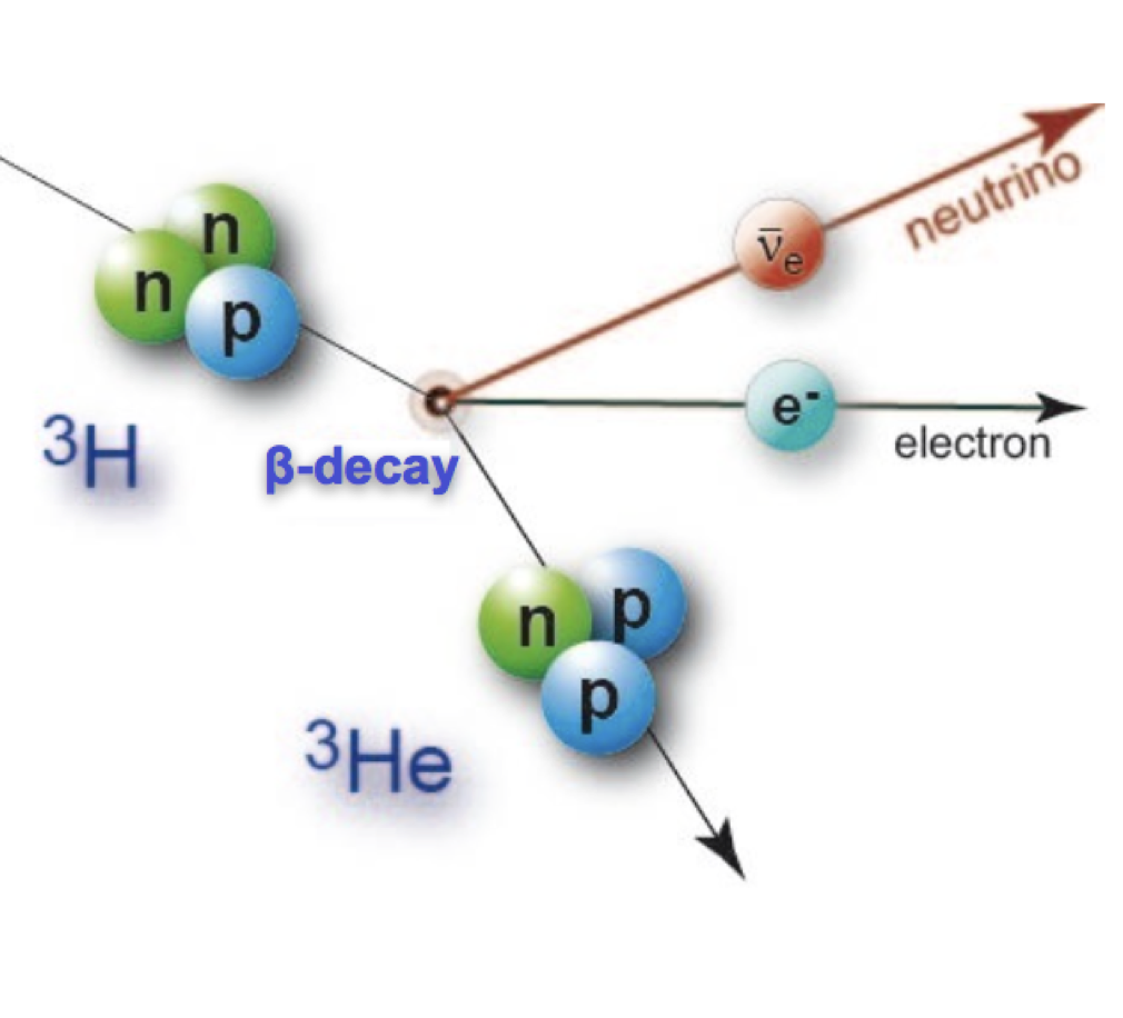 Project 8 Experiment